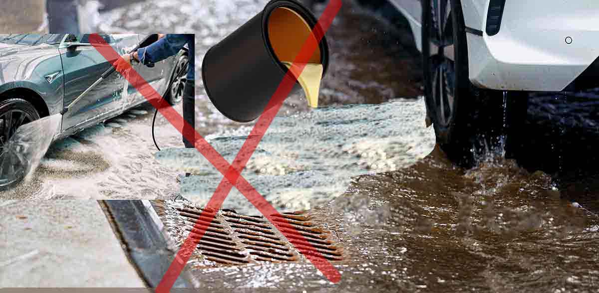 Toxic Liquids Into Street Drains Kills Fish in Our Creeks