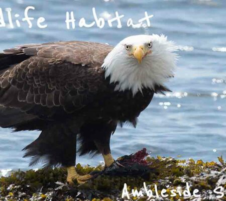 Prince Rupert Fined $165,000 for Environmental Violations