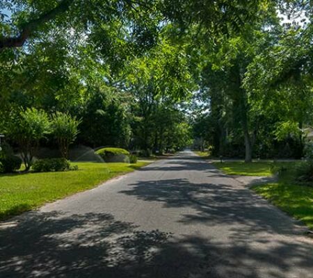 West Vancouver’s Urban Forest Management Plan Overview, Virtual Meeting 2022