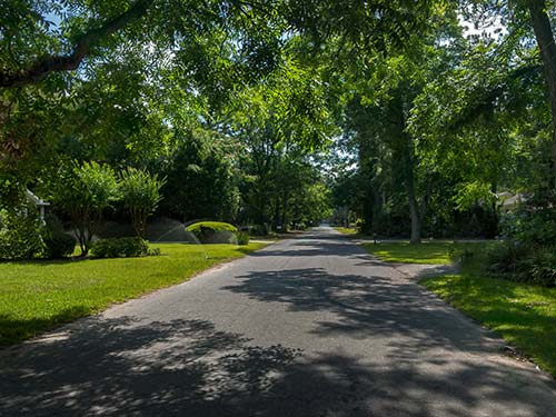 West Vancouver’s Urban Forest Management Plan Overview, Virtual Meeting 2022