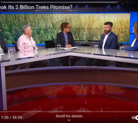 Are Tree Planting Promises a Distraction From What We Really Need: Mature Tree Protections