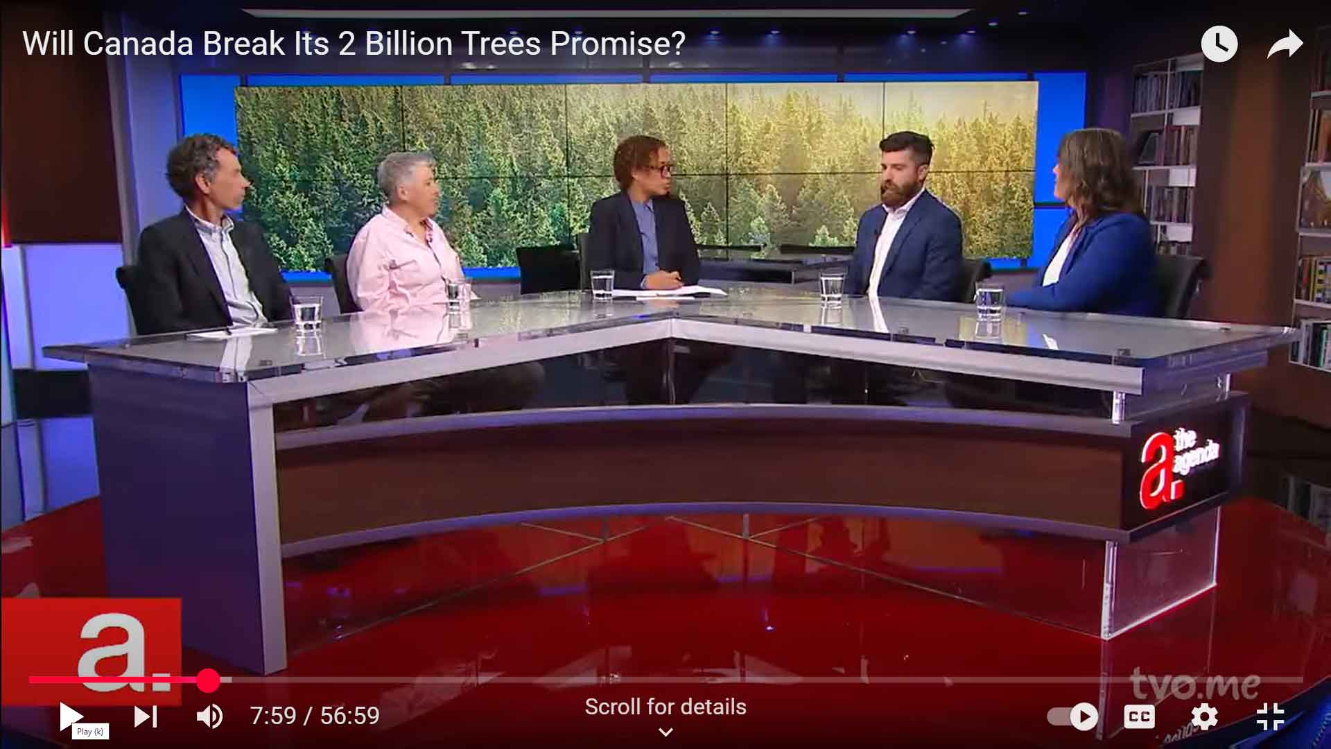 Are Tree Planting Promises a Distraction From What We Really Need: Mature Tree Protections