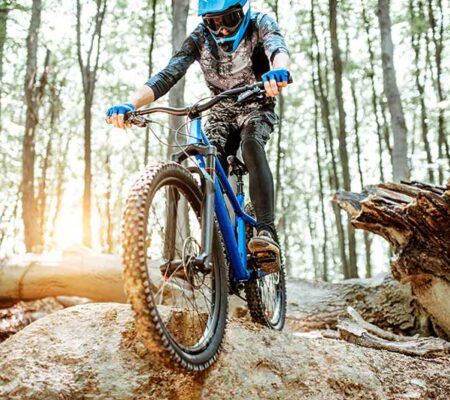 Unnecessary Soil Erosion and the Destabilization of our Working Trees Protecting Us