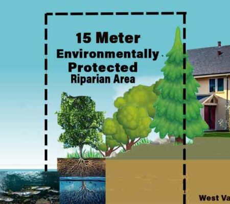 West Vancouver’s Environmentally Protected Streamside Areas and Why You Should Care